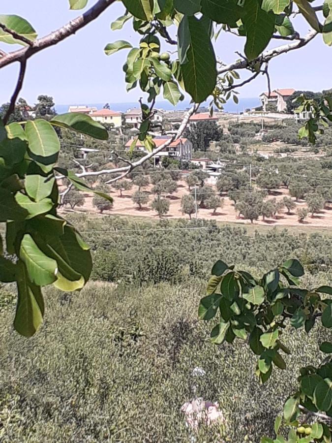 Il Giardino Degli Ulivi Villa Citta Sant'Angelo Exterior foto