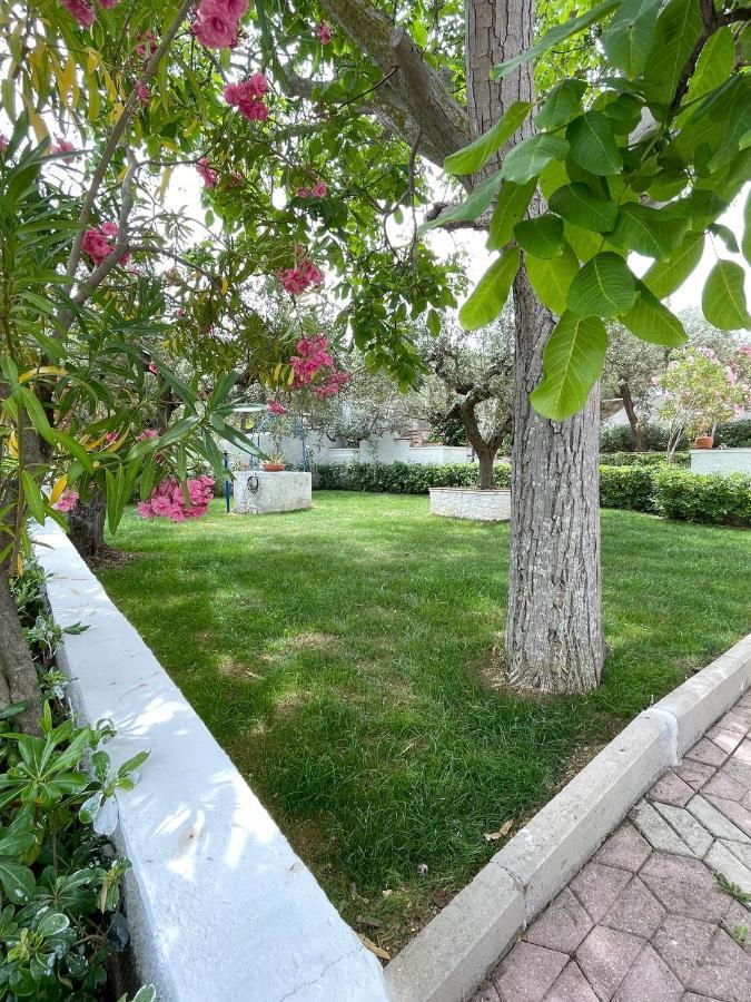 Il Giardino Degli Ulivi Villa Citta Sant'Angelo Exterior foto